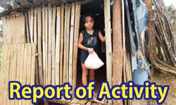 Report of Activity